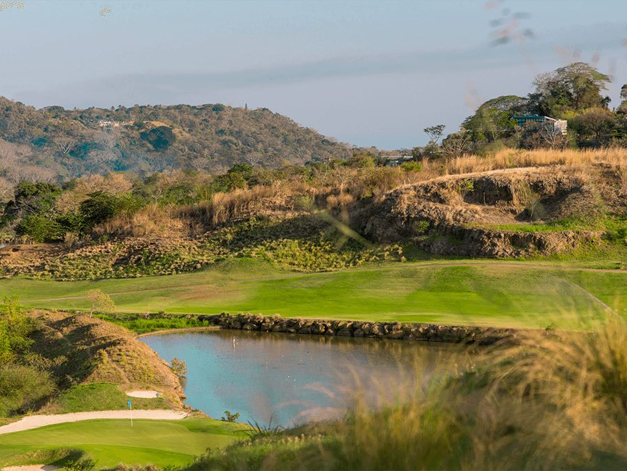 platinum-te-paspalum-el-encanto-el-salvador