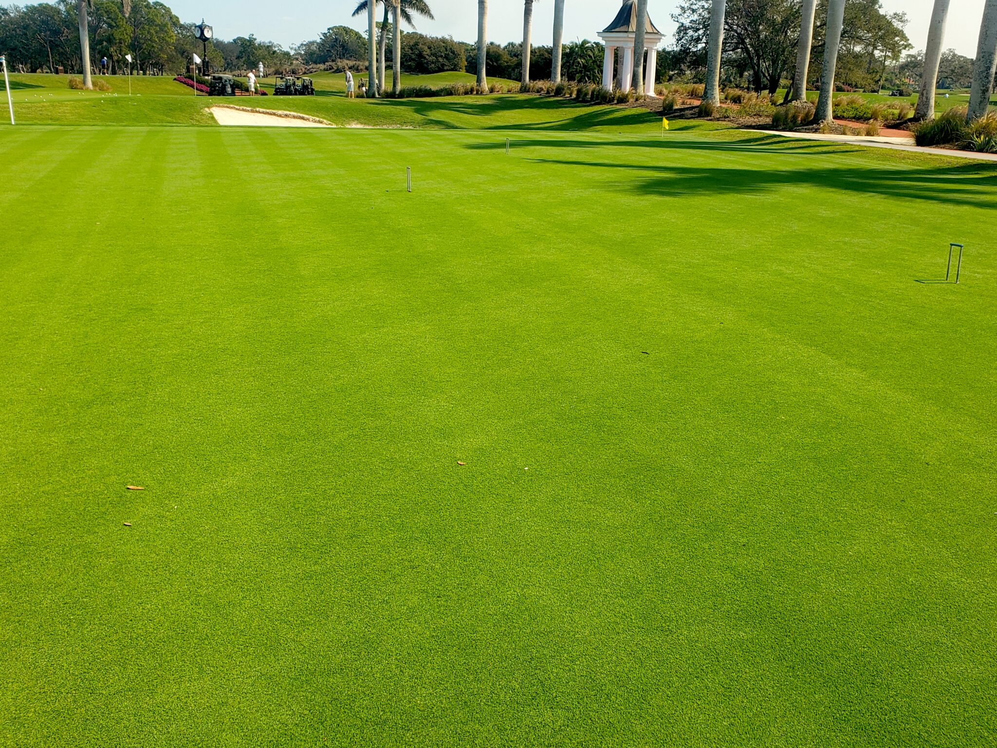 Platinum TE Paspalum Provides the Turfgrass Solution for Croquet