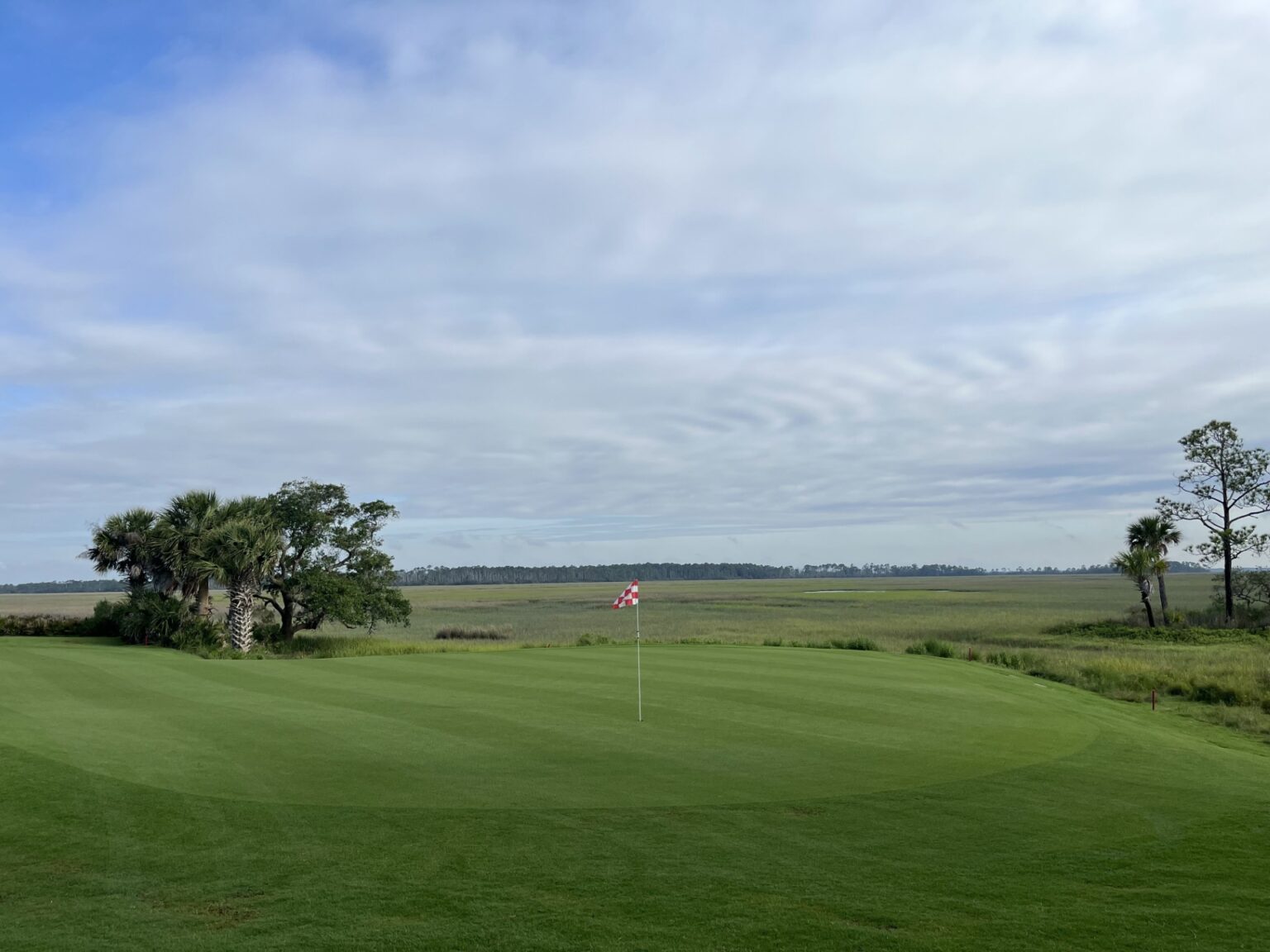 paspalum-for-coastal-conditions