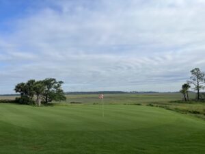 paspalum-for-coastal-conditions