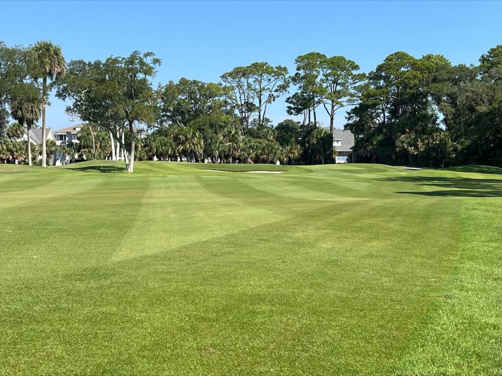 paspalum-for-coastal-conditions.1