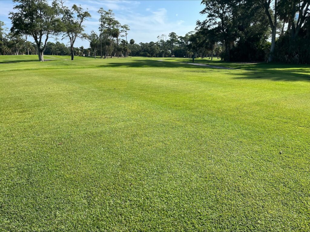 paspalum-for-coastal-conditions.2