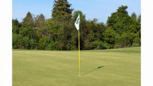 platinum-te-paspalum-greens